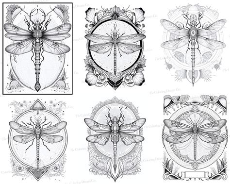 Dragonfly Mandala Coloring Book Dragonfly Coloring Page Etsy