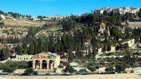 The Complete Guide To The Mount Of Olives Prepare For Your Visit