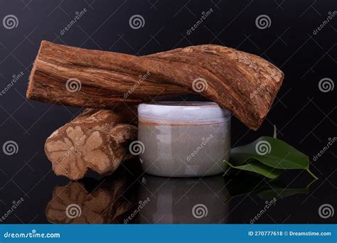 Banisteriopsis Caapi Ayahuasca Stock Photo Image Of Plant Ancient