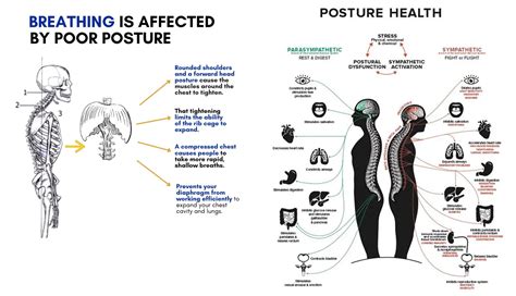 Breathing And Posture Ep Wellness And Functional Medicine Clinic