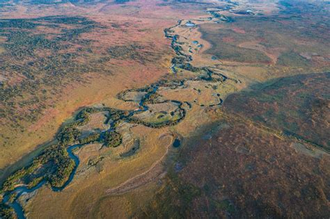 21 Best Fun Facts About Deltas - Facts.net