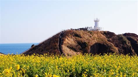 Gimnyeong Seongsegi Beach A Gem On Jeju Island Koreatripadvisor