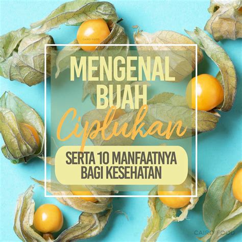 10 Manfaat Buah Ciplukan Bagi Kesehatan