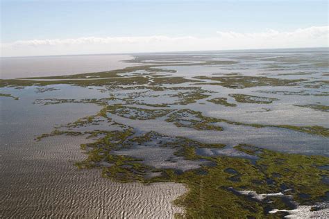 Massive Louisiana wetlands project gets underway - The Wildlife Society