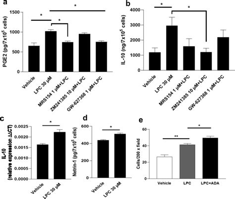 The Effects Of Lpc On The Production Of Pge Il Netrin And