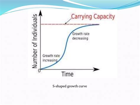 Population Growth Curves Ppt