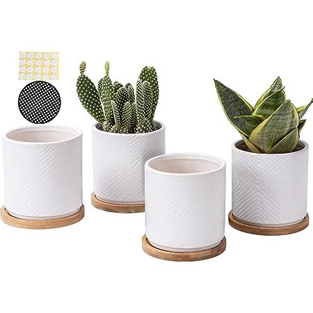 Amazon Aomryom Inch Ceramic White Cylinder Plant Pots With