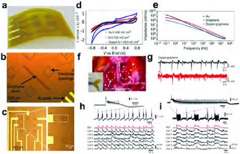 Flexible Graphene Electrodes For Electrophysiological Recordings A