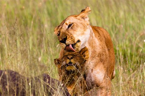 Such A Big Pussy R Aww