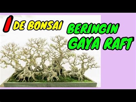 Inspirasi Bonsai Beringin Gaya Raft Ide Bonsai Youtube