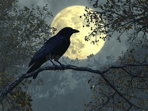 A Solitary Black Raven On A Naked Branch Under The Full Moon Cast A Mysterious And Ominous Mood
