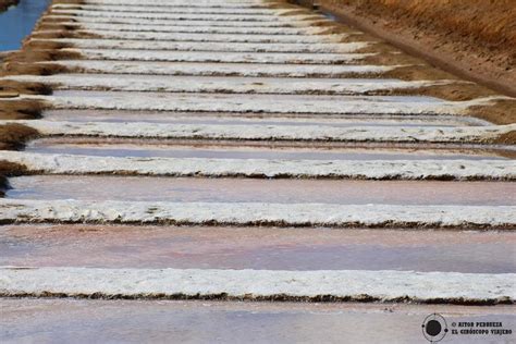 Visita a las Salinas del Alemán en Isla Cristina Sal ecológica de