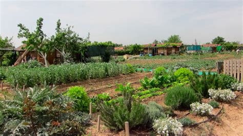 Salud Del Huerto Y El Jardin Ecologico La Casa Encendida