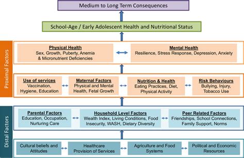 Framework For School Agedearly Adolescent Health And Nutritional