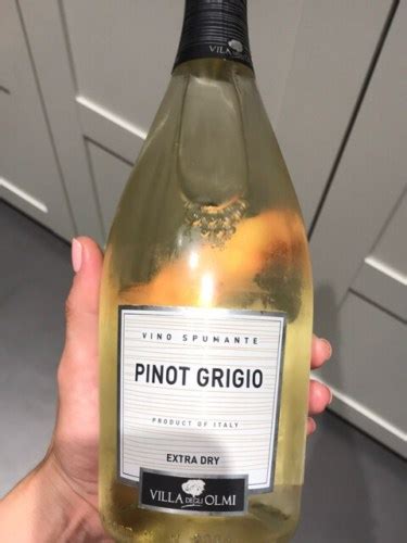 Villa Degli Olmi Pinot Grigio Spumante Extra Dry Vivino Australia