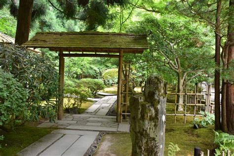 Portland Japanese Garden in Oregon Stock Image - Image of plant ...