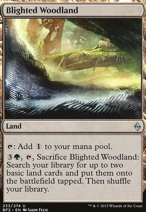 Blighted Woodland Battle For Zendikar Modern Card Kingdom