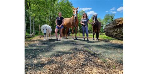 Anzeling Haras Du Moulin Des Chevaux Sur Le Chemin De La Gu Rison