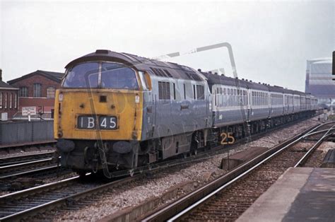 Rail Online Class 52 Western D1056 1975 Reading