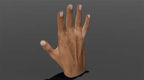 ArtStation - Hand Rigged 3D model | Game Assets