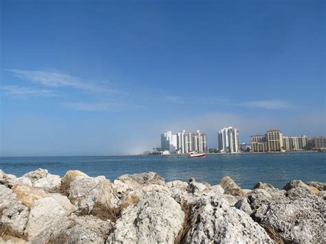 Viewing nature with Eileen: Sand Key Park, Clearwater Florida