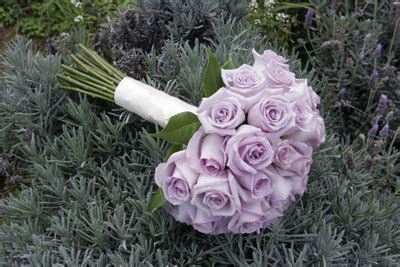 Bouquet Bridal: Lavender Rose Bouquet