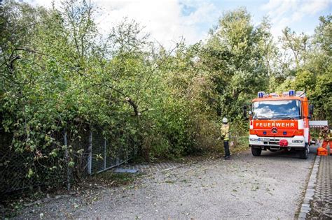 Umgekippter Baum In Plochingen Esslinger Zeitung