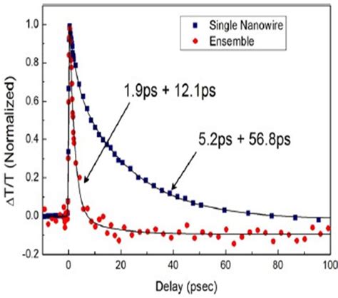 Figure Normalized Photoinduced Transmission Changes In The Single