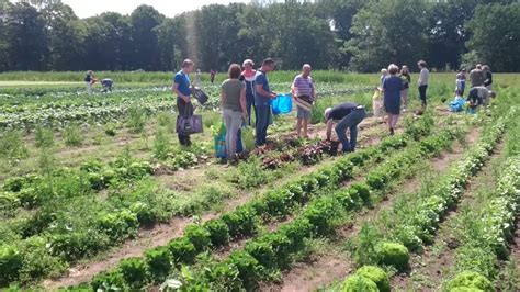 Urban Farming Strategies For A Greener Future Agriexpo E Magazine