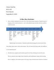 Hca Week Assignment Blue Men Worksheet Docx Jessica Sanchez