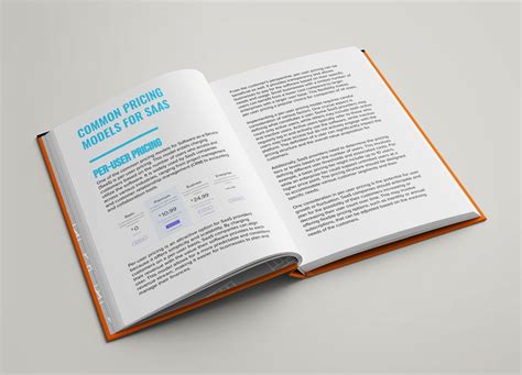 Pricing Strategies for SaaS