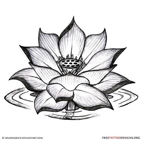 90 Lotus Flower Tattoos Lotus Tattoo Design Flower Tattoos Lotus Flower Tattoo Design