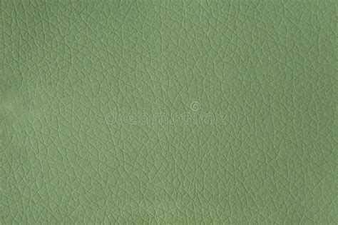 Tileable Green Leather Texture Maps Texturise Leather Texture Images