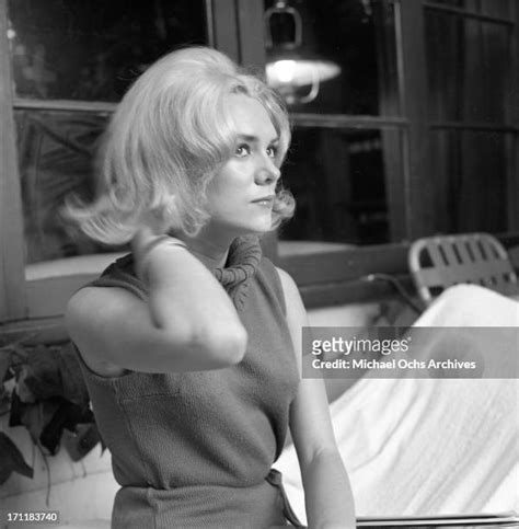 376 Fotos E Imágenes De Alta Resolución De Jackie Deshannon Getty Images