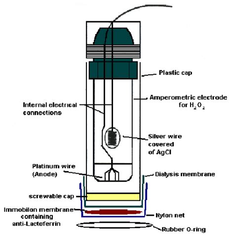 Amperometric Immunosensor For Lactoferrin Determination Using Hydrogen