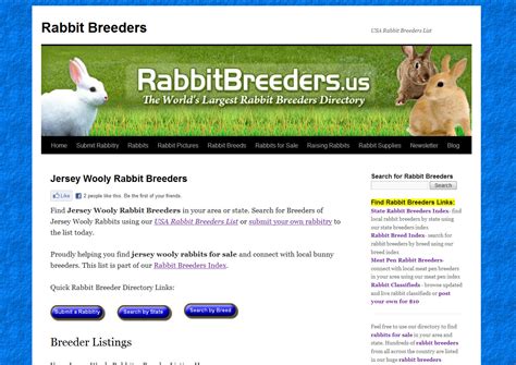 Jersey Wooly Rabbit Breeders - Jersey Wooly Rabbits for Sale Near Me