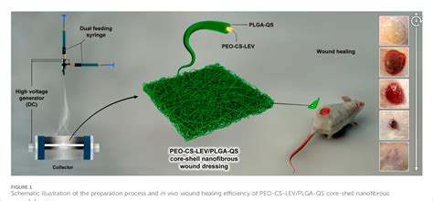 Figure 1 From Levofloxacin Loaded Poly Ethylene Oxide Chitosan