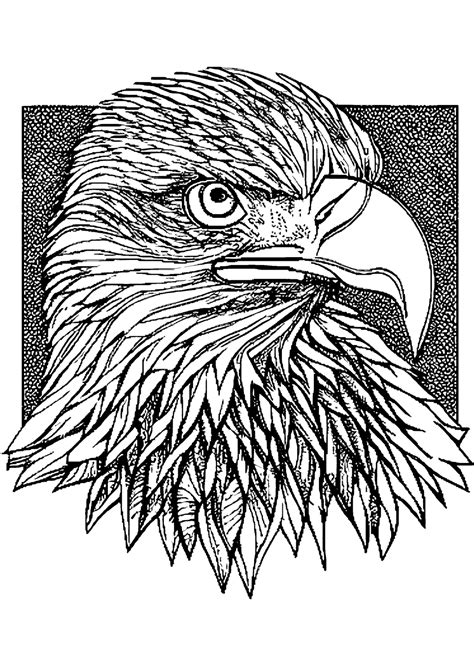 Bald Eagle Coloring Page · Creative Fabrica