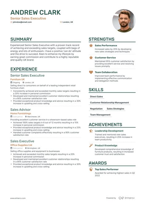 Senior Sales Executive Resume Examples Guide For