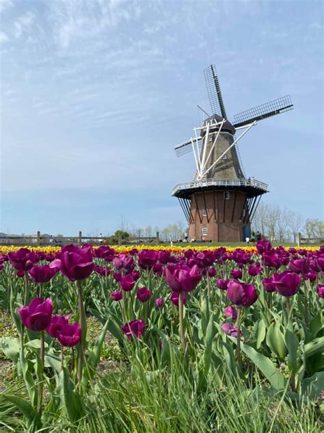 Discover Holland added a new photo. - Discover Holland 