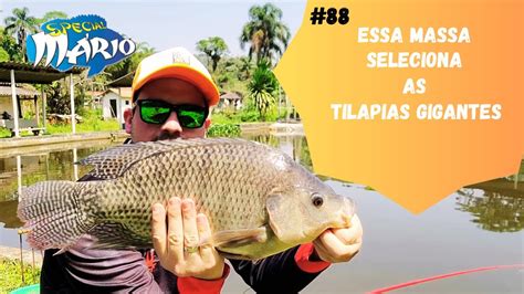 Essa Massa Seleciona Tilapia Grande Pesqueiro Pouso Alegre YouTube