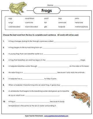 Quiz & Worksheet - Formation of Volcanic Landforms | Study.com ...