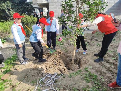 “植”于心 “树”未来日晖社区“大手小手共植新绿 播种希望拥抱未来”植树节主题活动江苏文明网