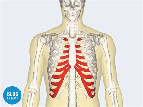 Síndrome De Tietze O Que é Causas Sintomas E Tratamentos Blog Da