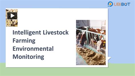 Ppt Intelligent Livestock Farming Environmental Monitoring System