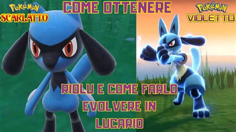 Guida Come Ottenere Riolu E Come Farlo Evolvere In Lucario Su