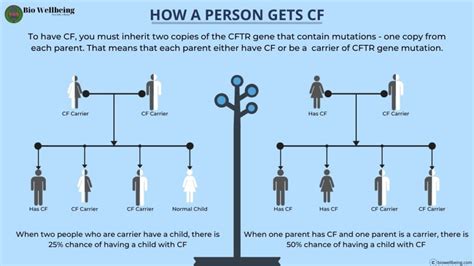 Cystic Fibrosis CF Symptoms Causes Diagnosis Treatments