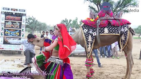 New Rajasthani Marwadi Camel And Girl Dance Rajasthani Online Media