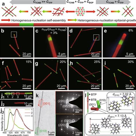 Illustration Of The Epitaxial Growth For Organic Superstructure