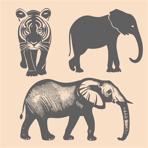 Premium Vector Free Vector Pack Of Hand Drawn Elephants